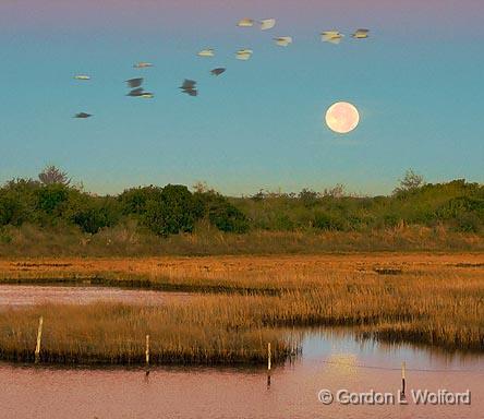 Marsh Moonset_30656.jpg - Photographed along the Gulf coast near Port Lavaca, Texas, USA.